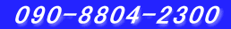  090-8804-2300 